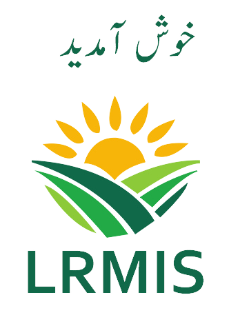 LRMIS LOGO